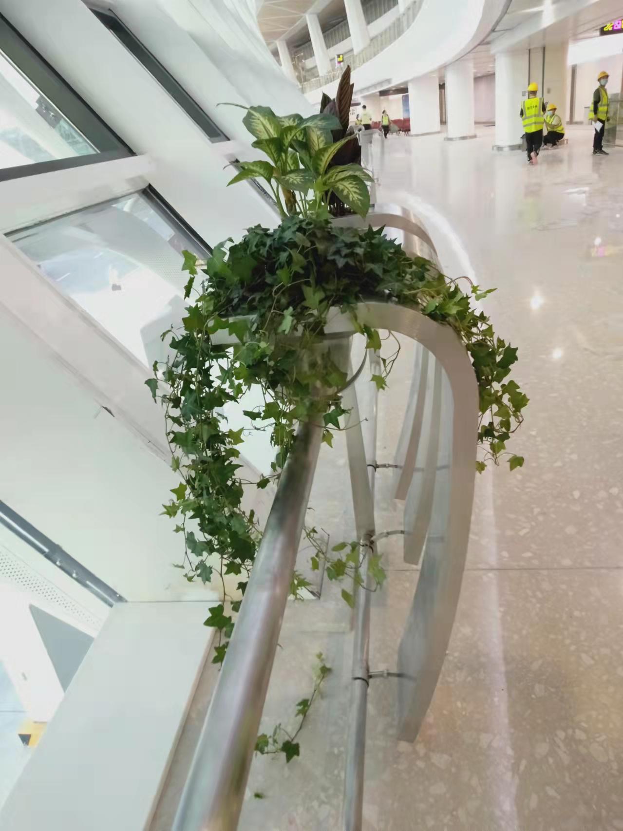 Metal Flower Boxes: Why Have They Become a Top Trend in the Landscaping Industry?